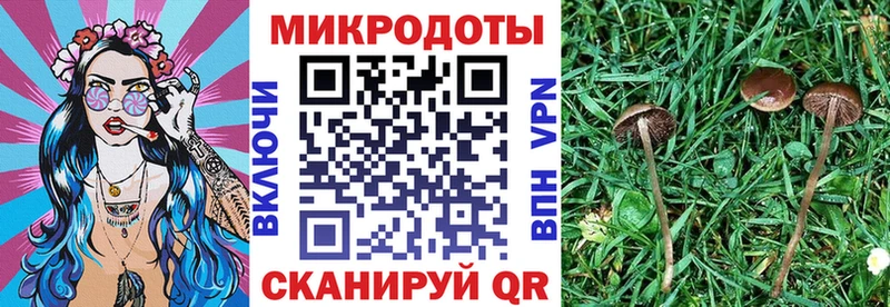 KRAKEN маркетплейс  Лукоянов  Псилоцибиновые грибы Magic Shrooms 